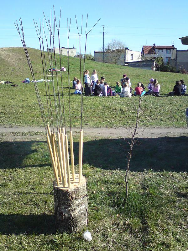 Zdjęcie